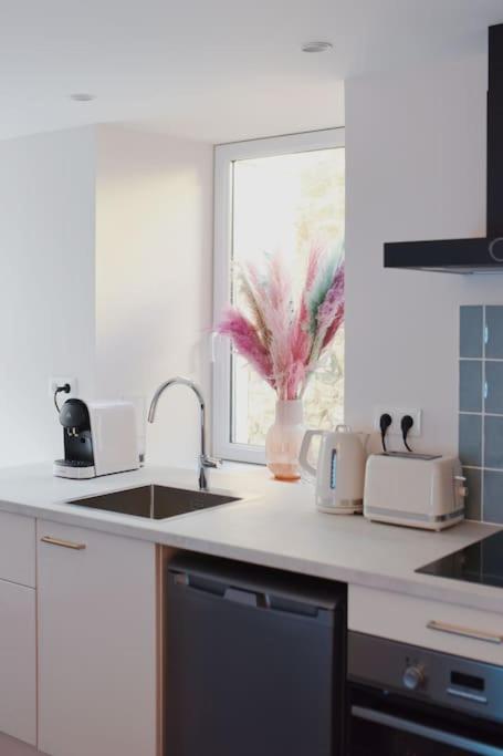 Appartement Aquaroom Rdc - Plage 50M - Rue Gratuite Σεν Μαλό Εξωτερικό φωτογραφία